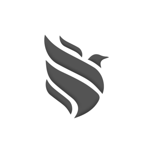 CSDG Logo